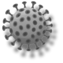 Coronavirus Influenza
